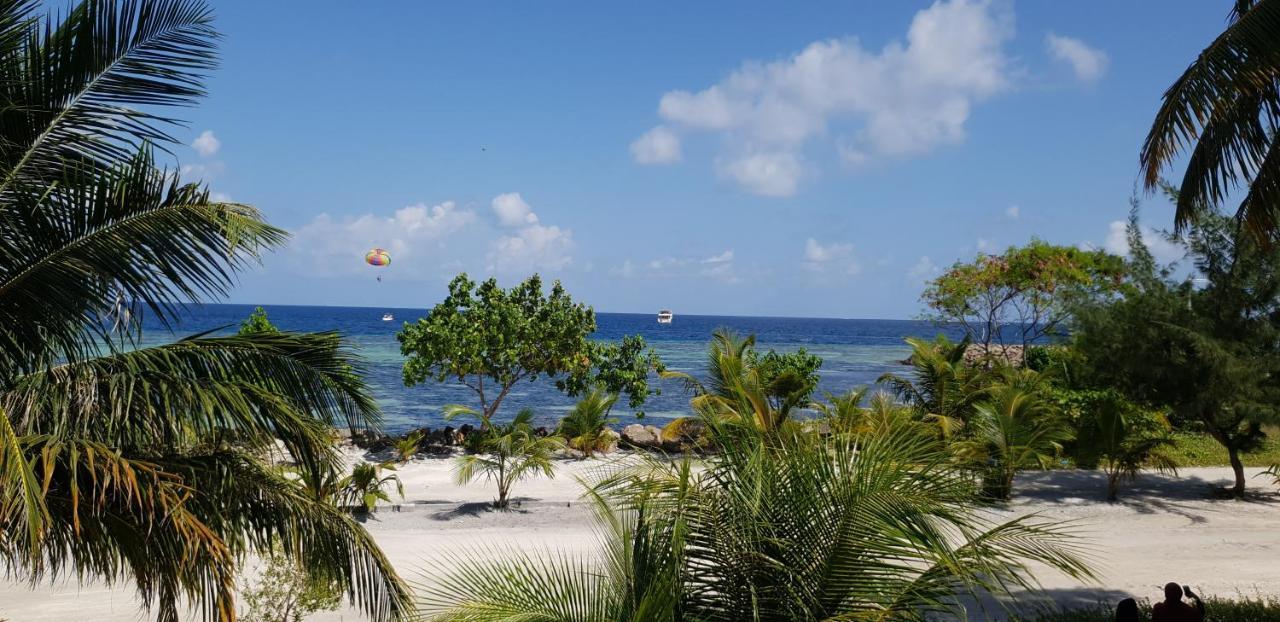 Arora Inn Maafushi Bagian luar foto