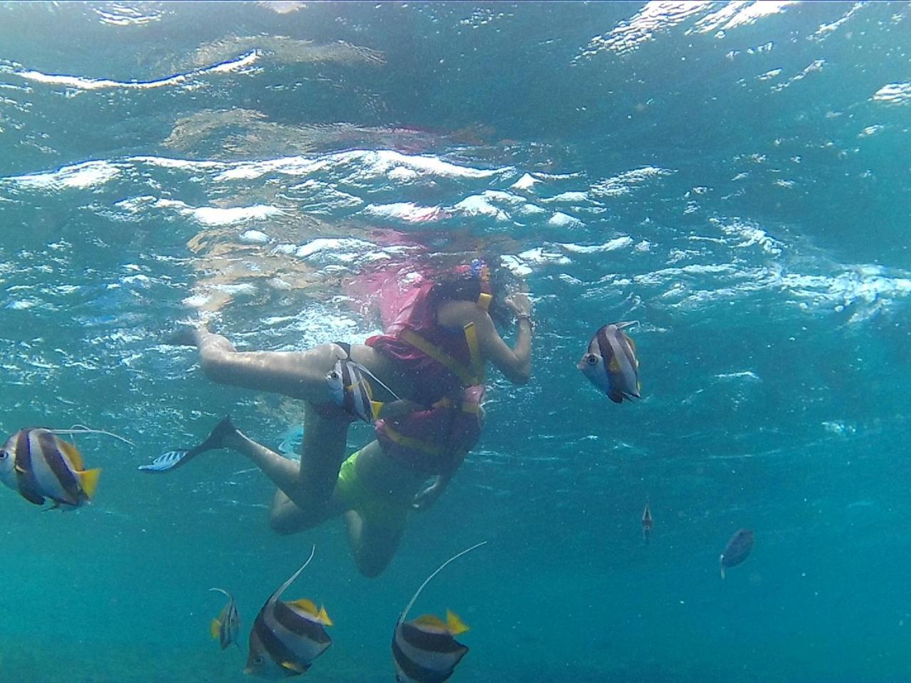 Arora Inn Maafushi Bagian luar foto