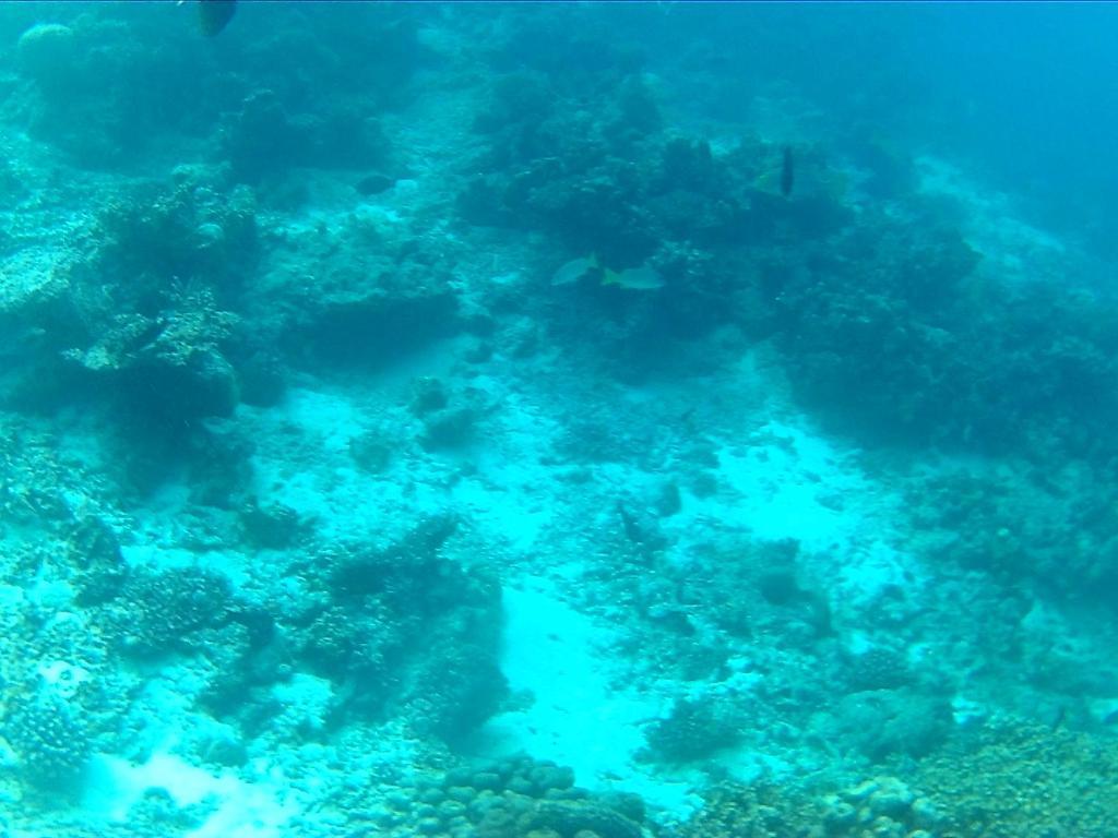 Arora Inn Maafushi Bagian luar foto